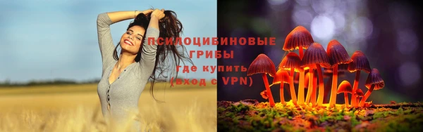 ECSTASY Балабаново
